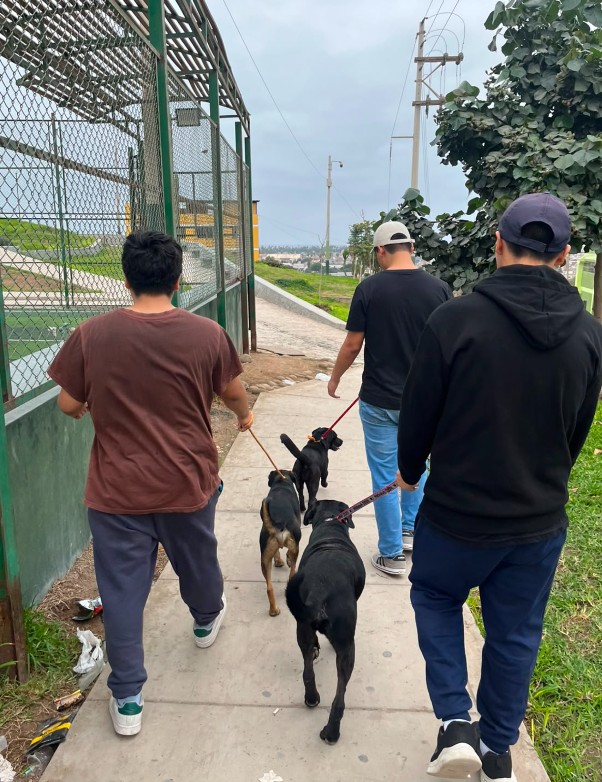 VISITA AL ALBERGUE ECOVIDA ANIMAL EN PUEBLO LIBRE